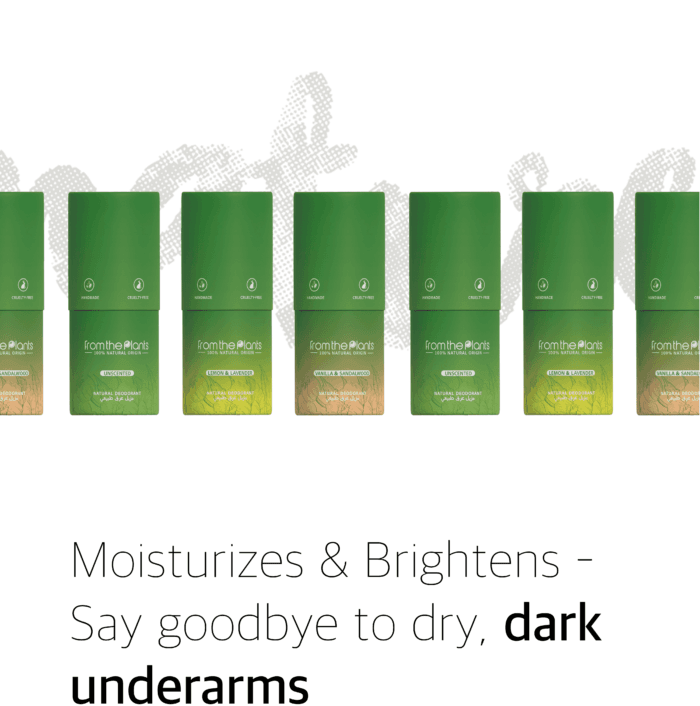 VANILLA & SANDALWOOD - Image 7